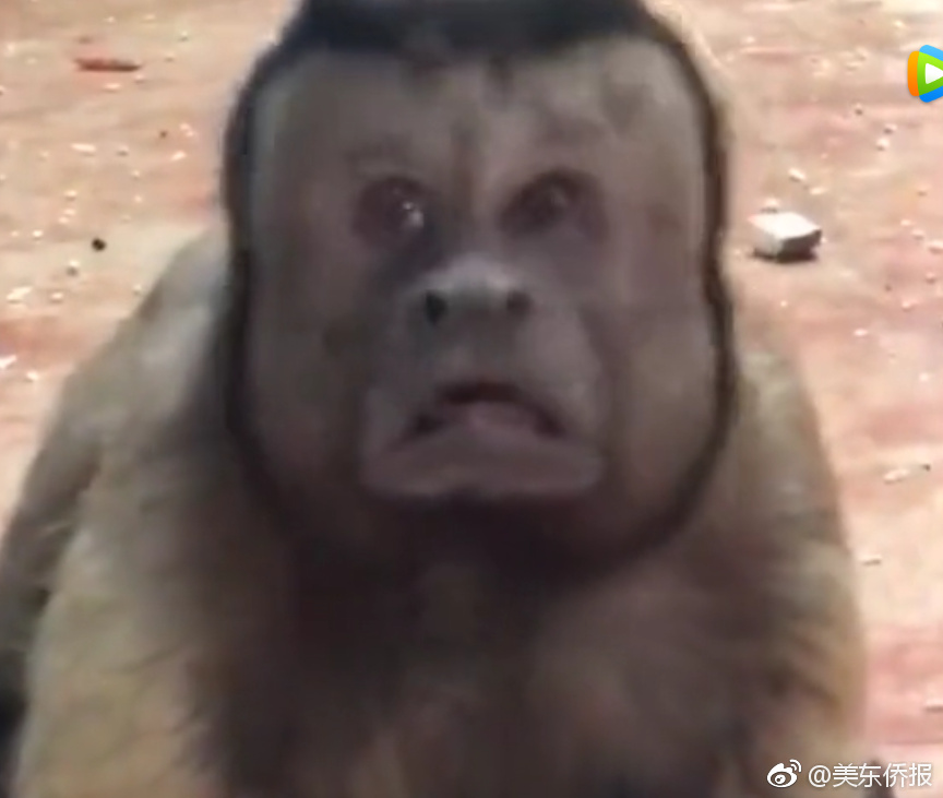 鬼谷八荒魅力有什么用
