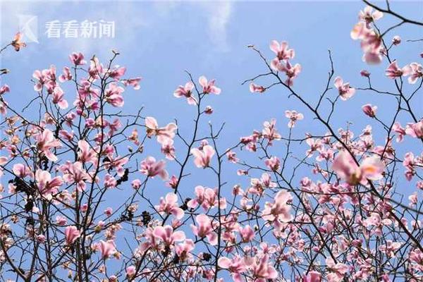 [bsports网页版登录官方入口]