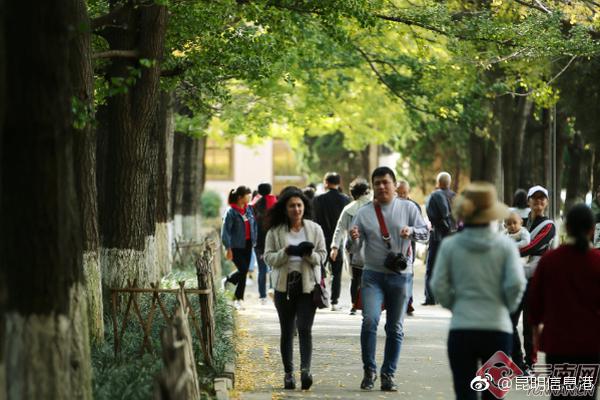大江湖之苍龙与白鸟苍云剑法属性怎么样